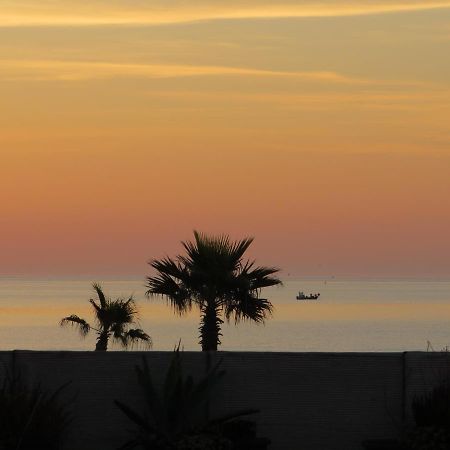 Ground Floor Studio With Access To Beach And Pool Le Barcarès Εξωτερικό φωτογραφία